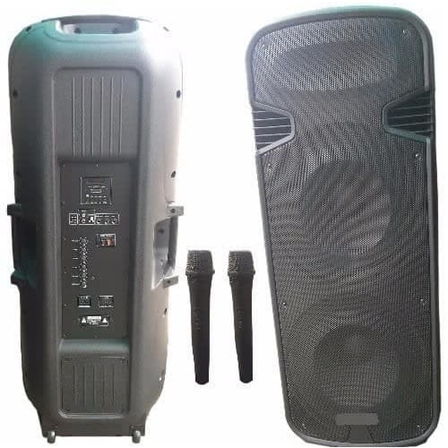 Rechargeable Pa System With Dual Wireless Microphone