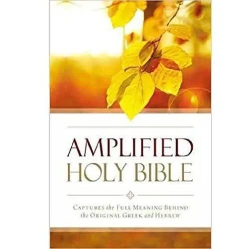 Amplified Outreach Bible - Paperback