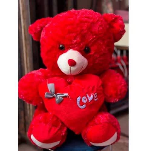 Huggable Teddy Bear 50cm