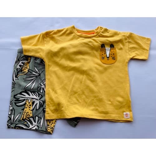Boys 2 Pcs Cat Face Top And Short Set