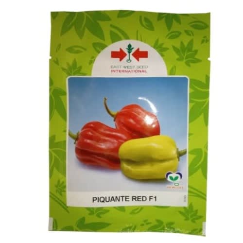 East West - Hybrid Habanero Hot Pepper Seeds - Piquante Red F1 - 500 Seeds