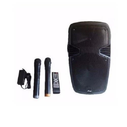 8 Inch Rechargeable Public Address System +2 Wireless Mic+remote Control