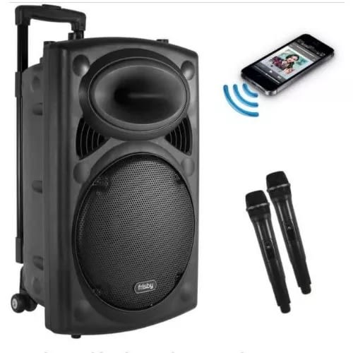 Rechargeable Public Address System With Bluetooth, USB Port, FM & Two Wireless Mic