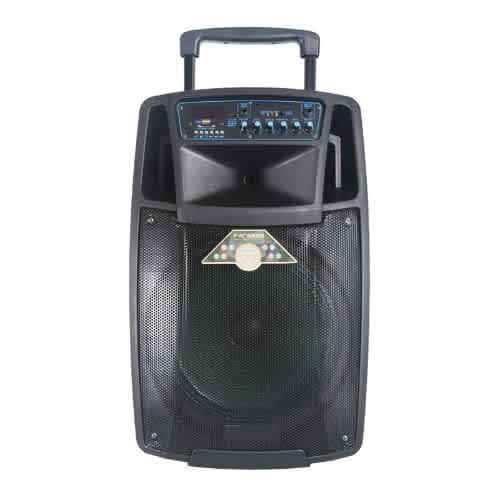 15 Inch Trolley Rechargeable Pa Speaker With Two Wireless Mics, Bluetooth, Usb & Fm Radio
