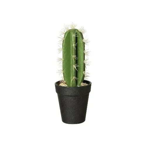 Cactus Spurge 26cm - Green
