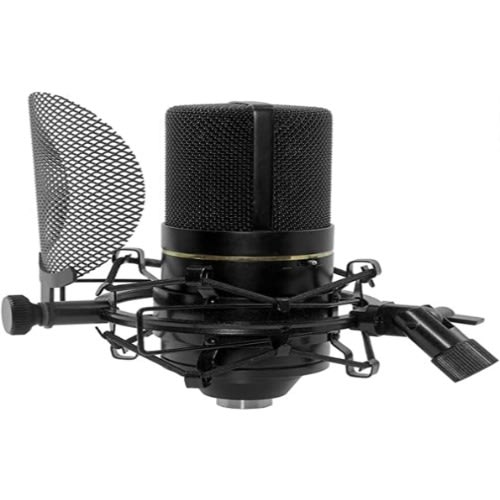770 Condenser Microphone Complete Bundle With Shockmount Pop Filter And Cable