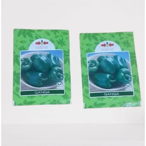Green Bell Pepper Seeds (ganga) -2 Packs