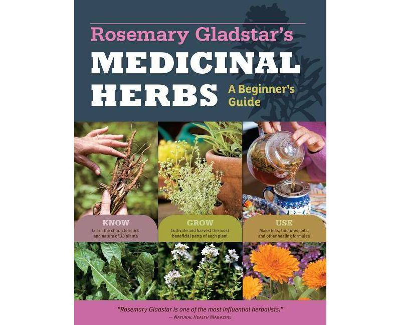 Rosemary Gladstar's Medicinal Herbs: A Beginner's Guide - (Paperback)