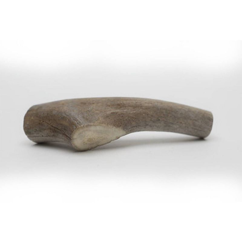 QT Dog Antlerz Natural Dog Chew Treat Deer Antler Medium Dog Treats - 1ct