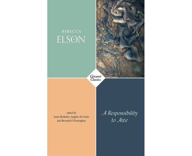 A Responsibility to Awe - by  Rebecca Elson (Paperback)