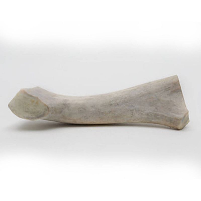 QT Dog Antlerz Natural Dog Chew Treat Deer Antler Medium Dog Treats - 1ct
