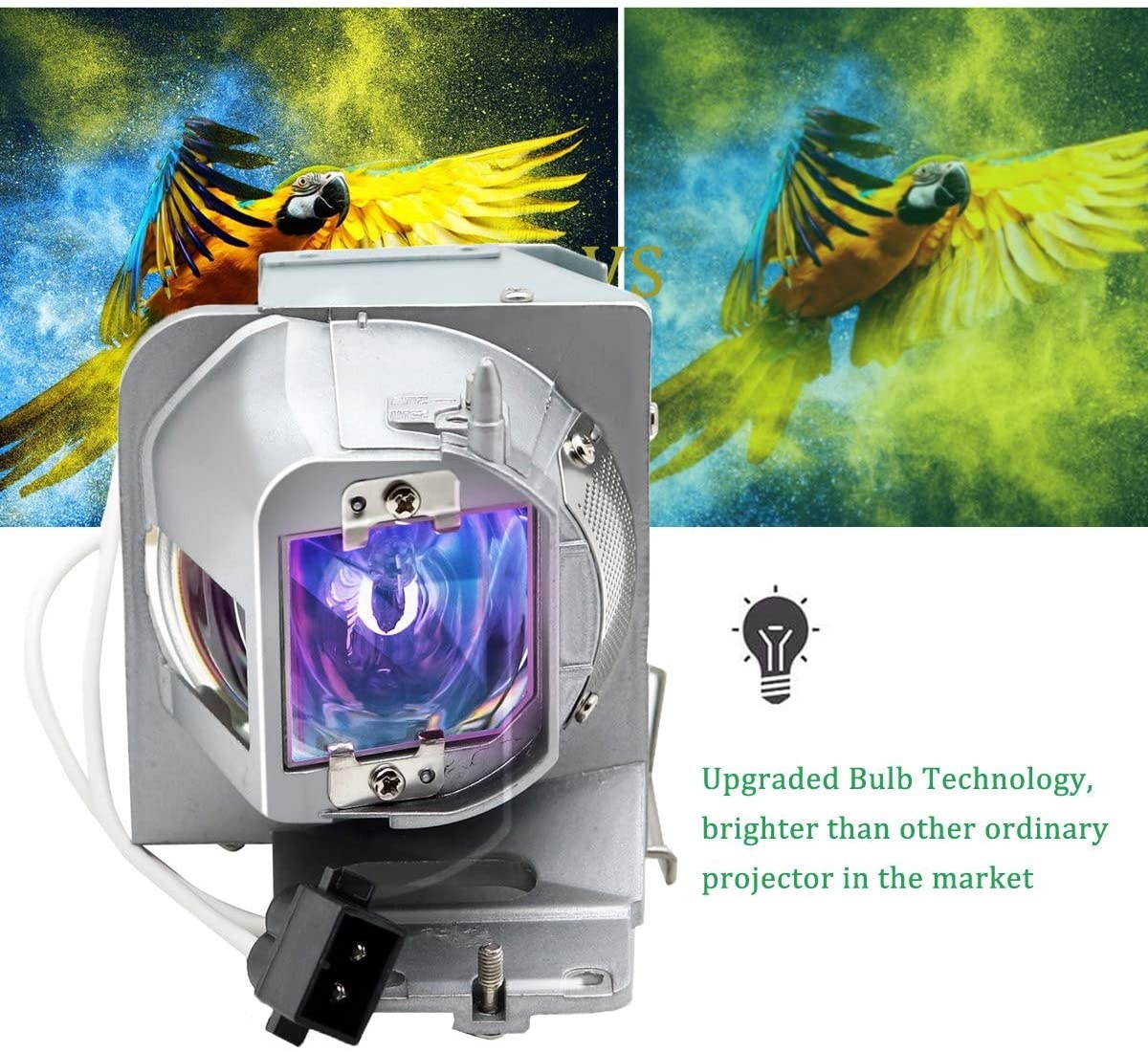 RICH LIGHTING BL-FP210B/ BL-FP210A Projector Lamp Bulb for Optoma HD200D HD28DSE DH1012 X351 W351 EH341 UHD350X DH1012 EH210 EH341 HD26LV HDF572 Replacement Bulb with Housing