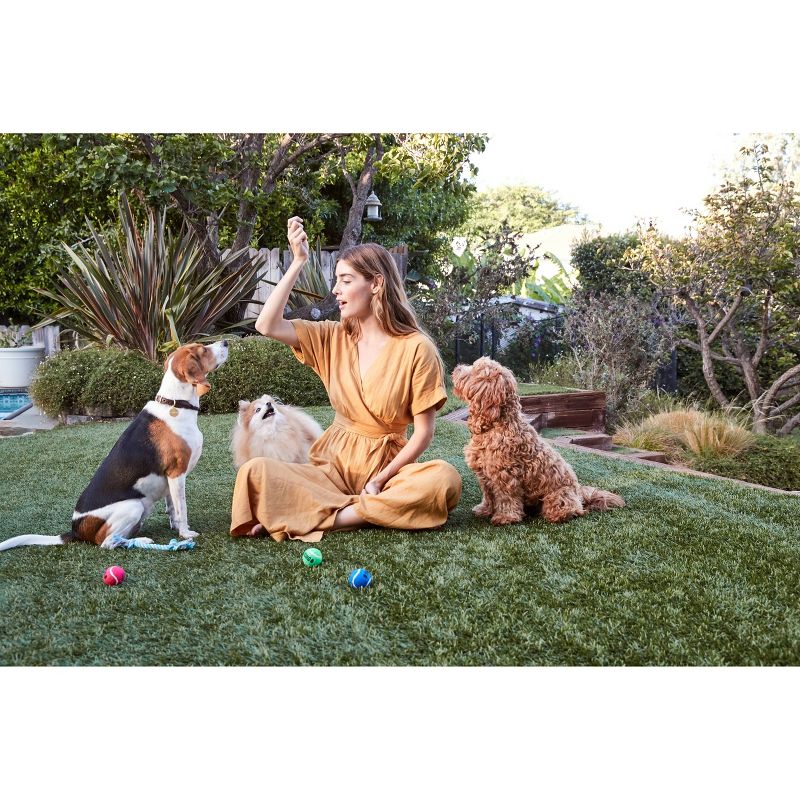 Full Moon Organic Chicken Dog Training Treats Dog Treats - 6oz