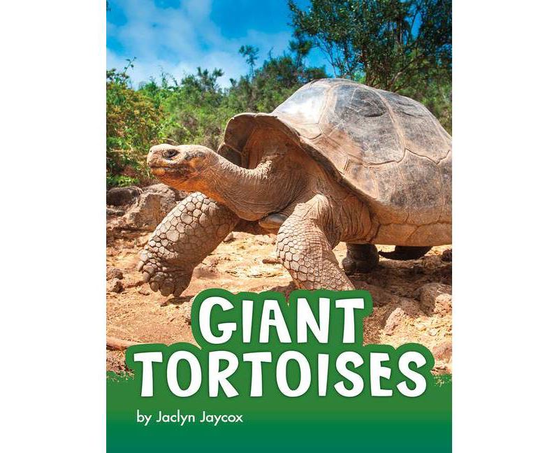 Giant Tortoises - (Animals) by  Jaclyn Jaycox (Paperback)