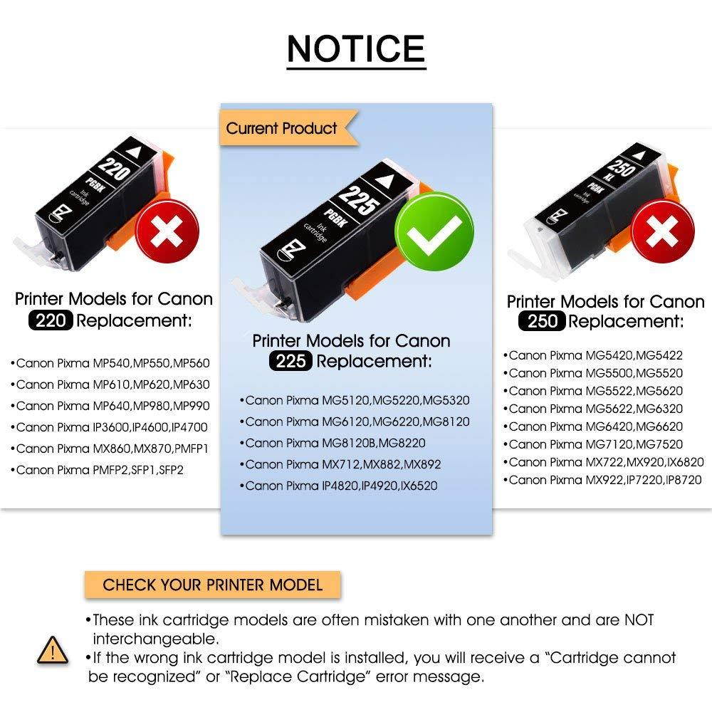 E-Z Ink (TM) Compatible Ink Cartridge Replacement for Canon PGI-225 PGI225 to use with PIXMA MX882 MX892 MG5320 MG6220 MG5220 MG6120 MG8220 MX712 IP4820 IP4920 IX6520 Printer (Large Black, 4 Pack)