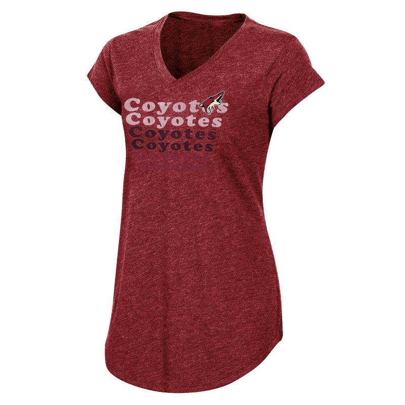 NHL Arizona Coyotes Women's Team Pride V-Neck T-Shirt - XL