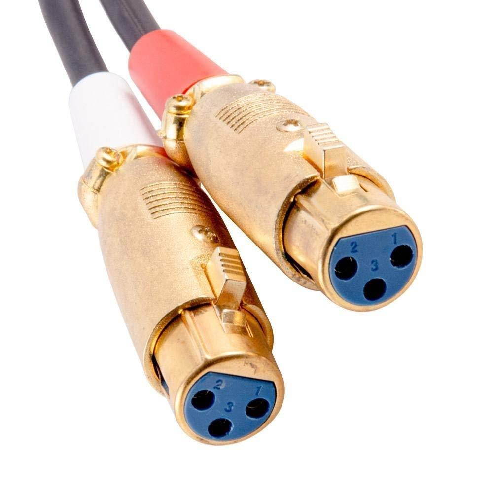 Seismic Audio Premium 6 Foot XLR Female to Dual Male Patch Cable-XLRF to 2-RCA (SA-DRCXLF6