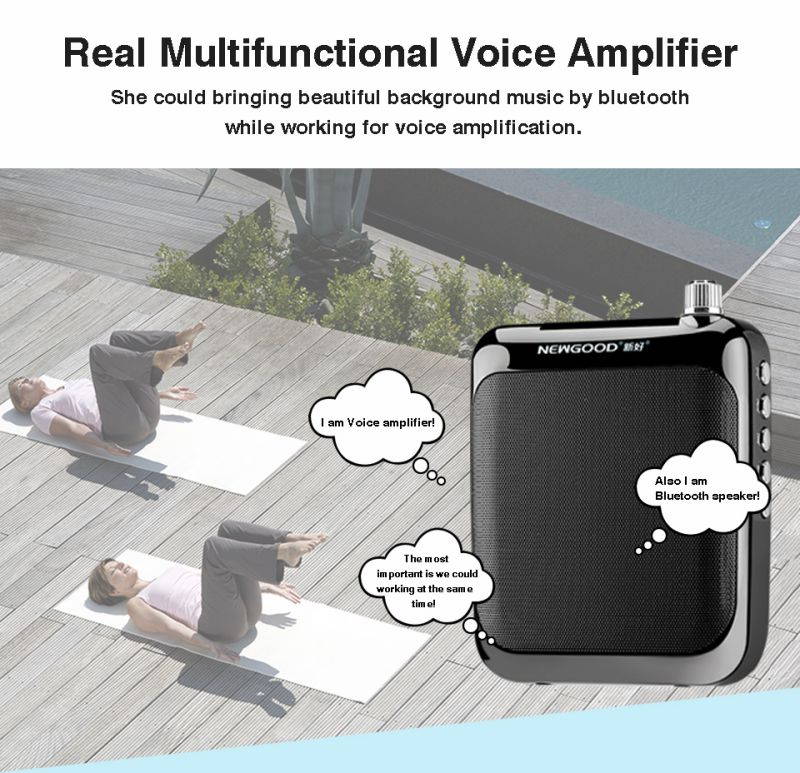 NEWGOOD Bluetooth loudspeaker Portable Wired Waistband Voice Amplifier with FM Radio for School Teachers Classroom Yoga Coach Training (black)