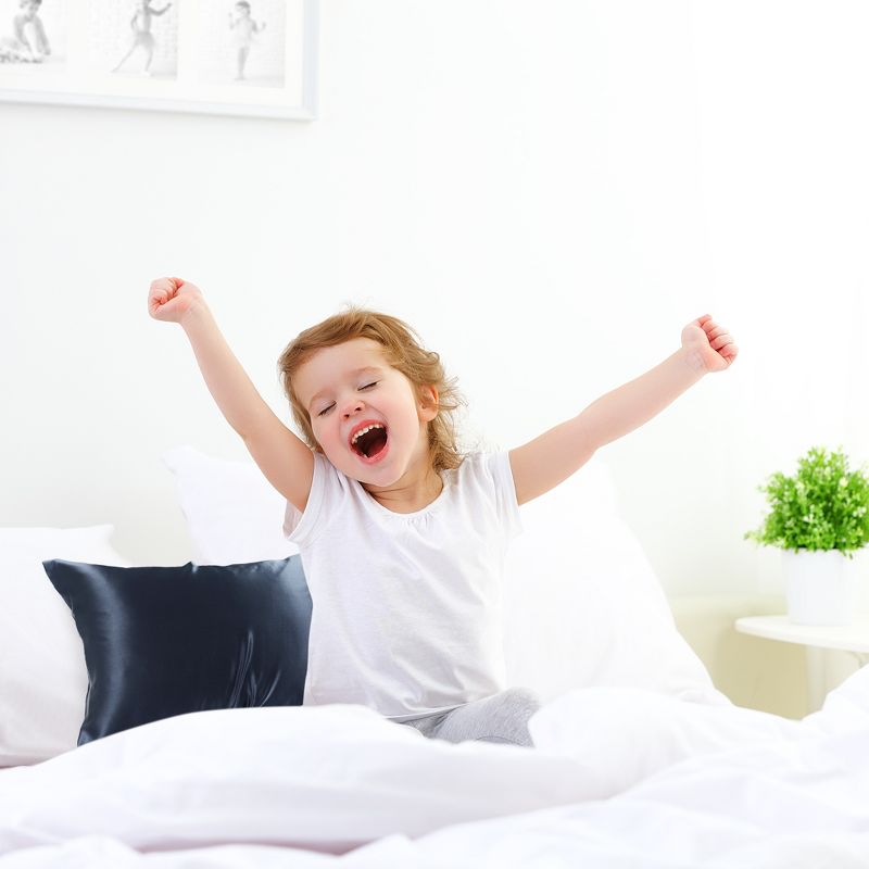 1 Pc Travel 14"x20"Silk for Hair and Skin Pillowcase Navy - PiccoCasa