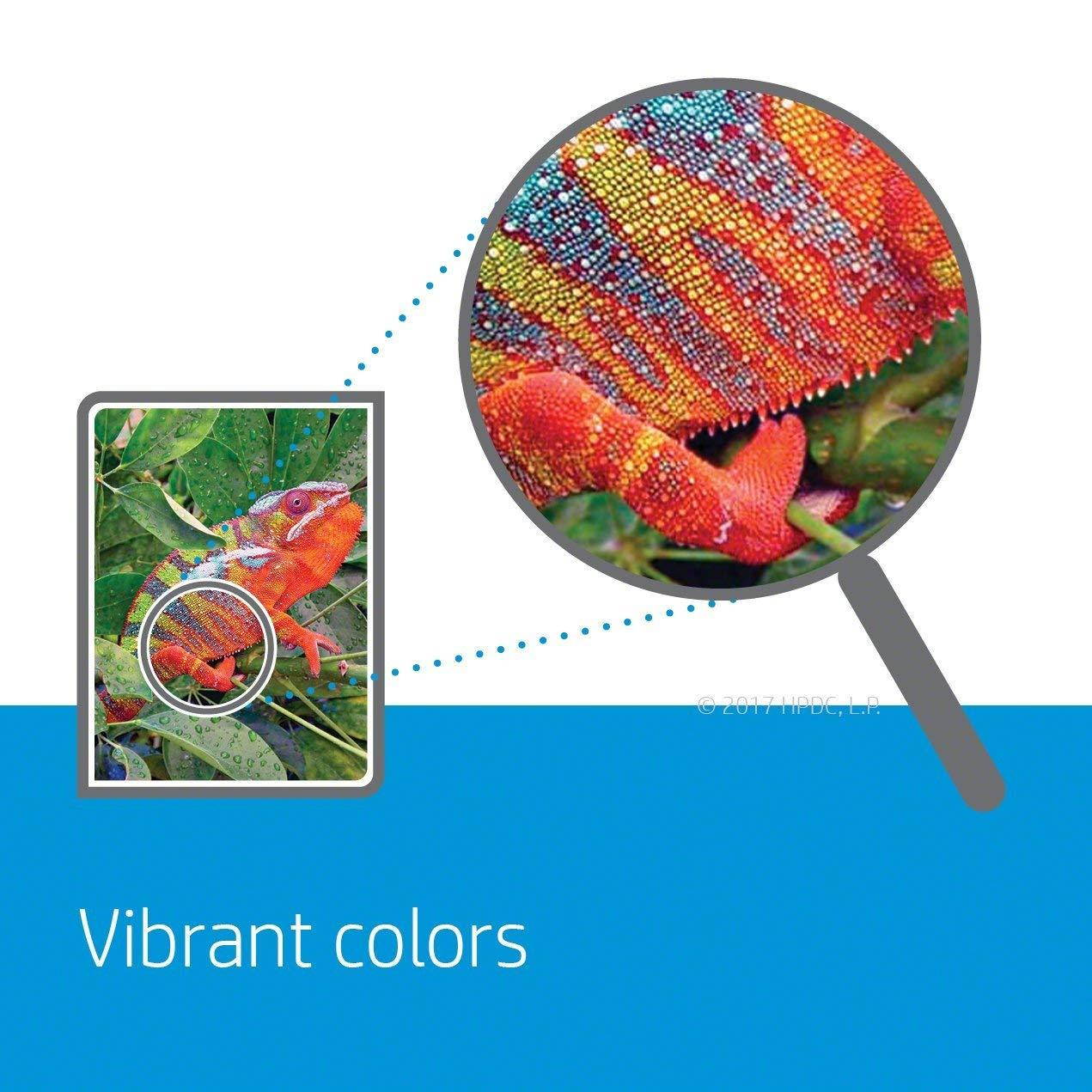 HP 60 Black Original Ink Cartridges, 2 pack (CZ071FN)