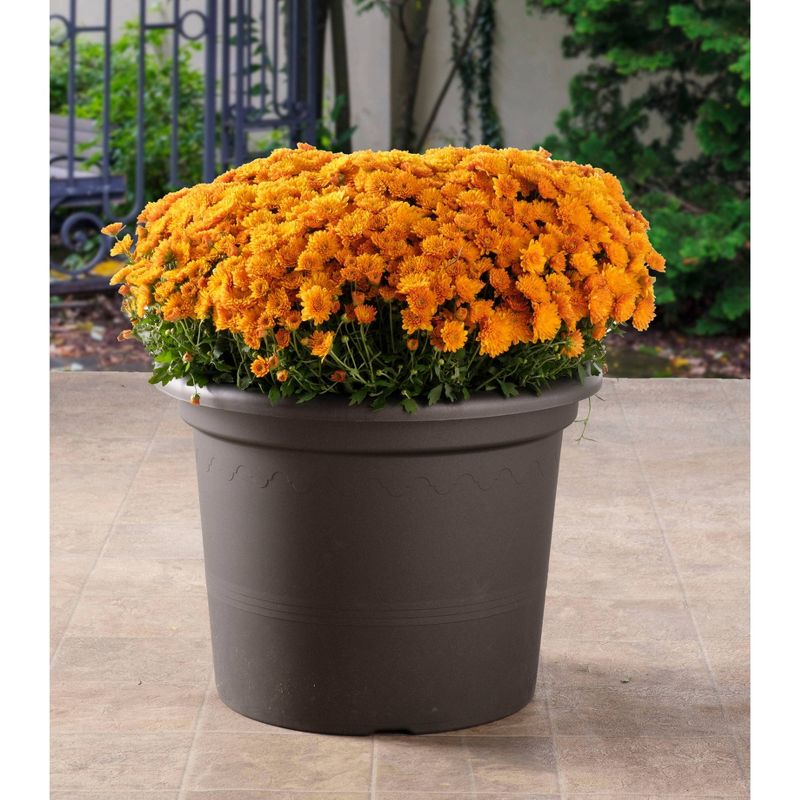 11.75&#34; x 15.5&#34; Indoor/Outdoor Resin Geo Planter Black - Alfresco Home LLC