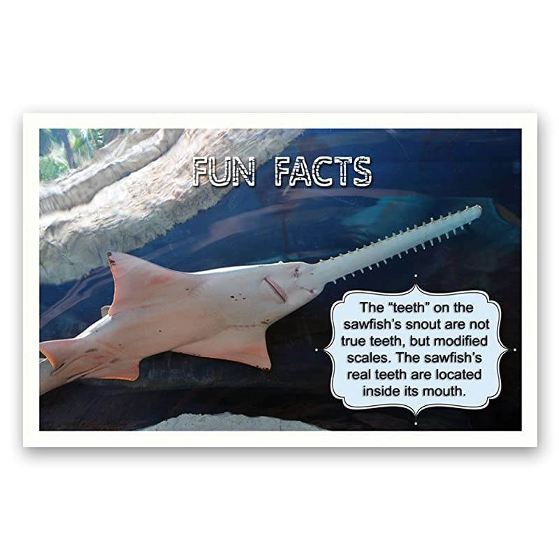FACTS postcard set of 20 Post card variety pack with trivia and fact theme postcards Made in USA
