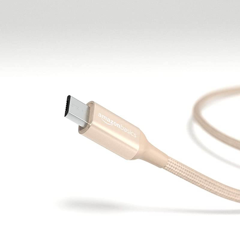 Basics Double Braided Nylon USB TypeC to MicroB 20 Male Charger Cable | 1 foot Gold