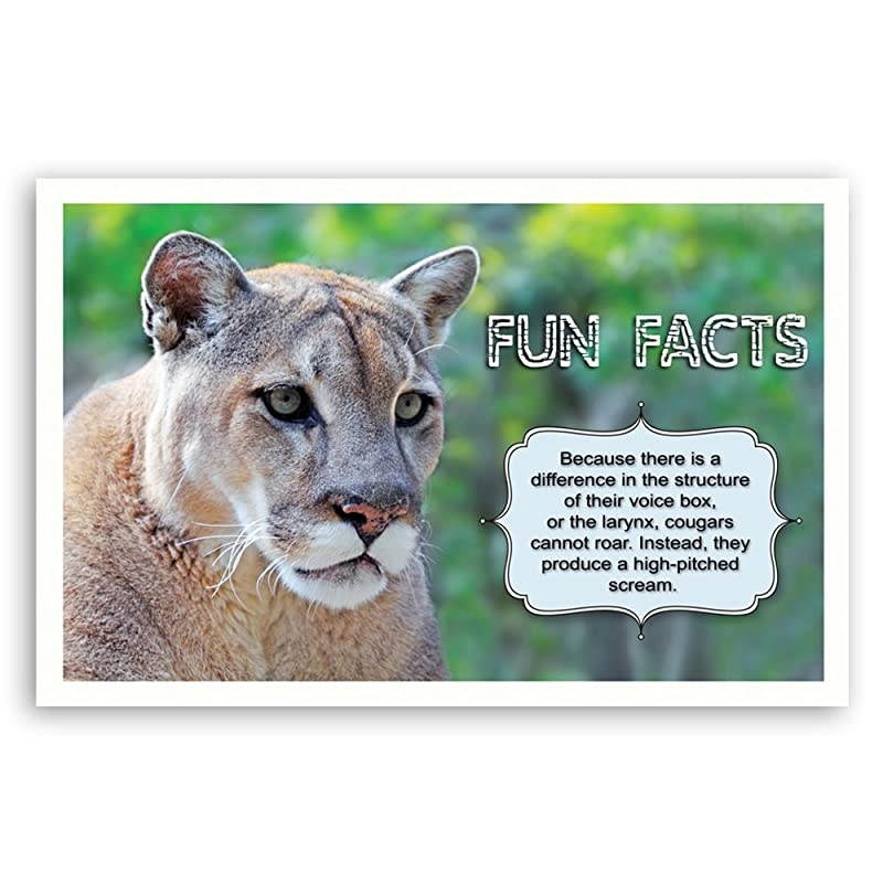 FACTS postcard set of 20 Post card variety pack with trivia and fact theme postcards Made in USA