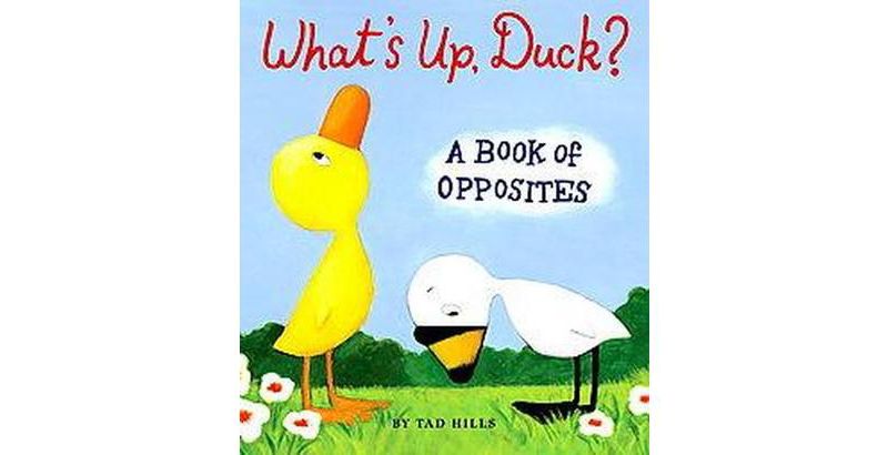What's Up Duck? by Tad Hills (Board Book)