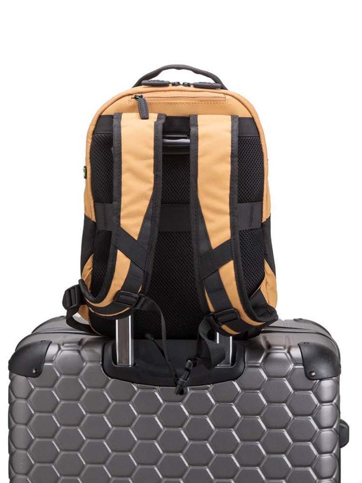 CARPISA Beige & Black Medium Laptop Backpack