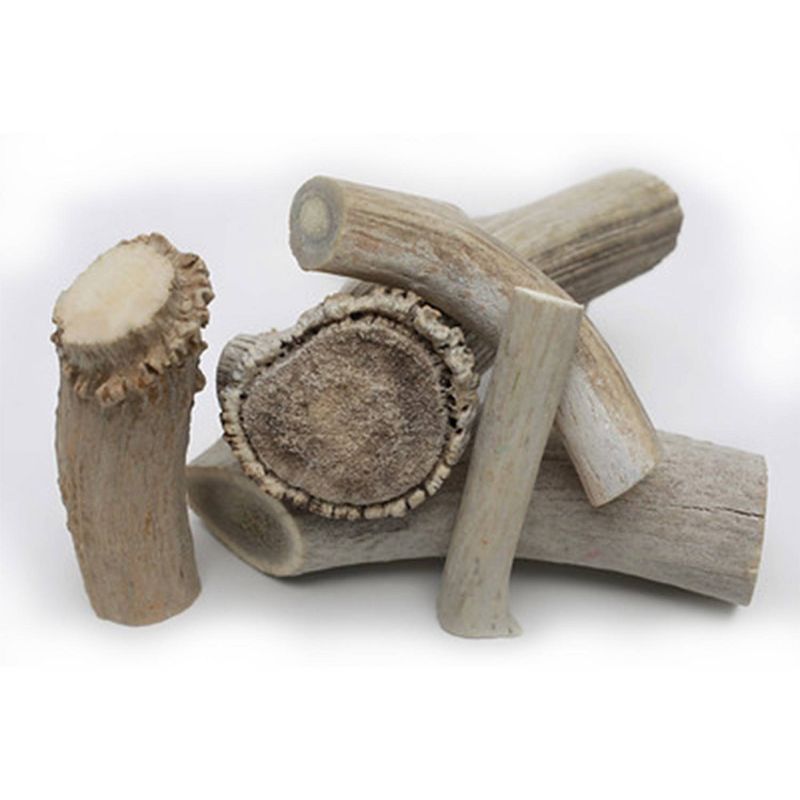 QT Dog Antlerz Natural Dog Chew Treat Dog Treats - 1ct
