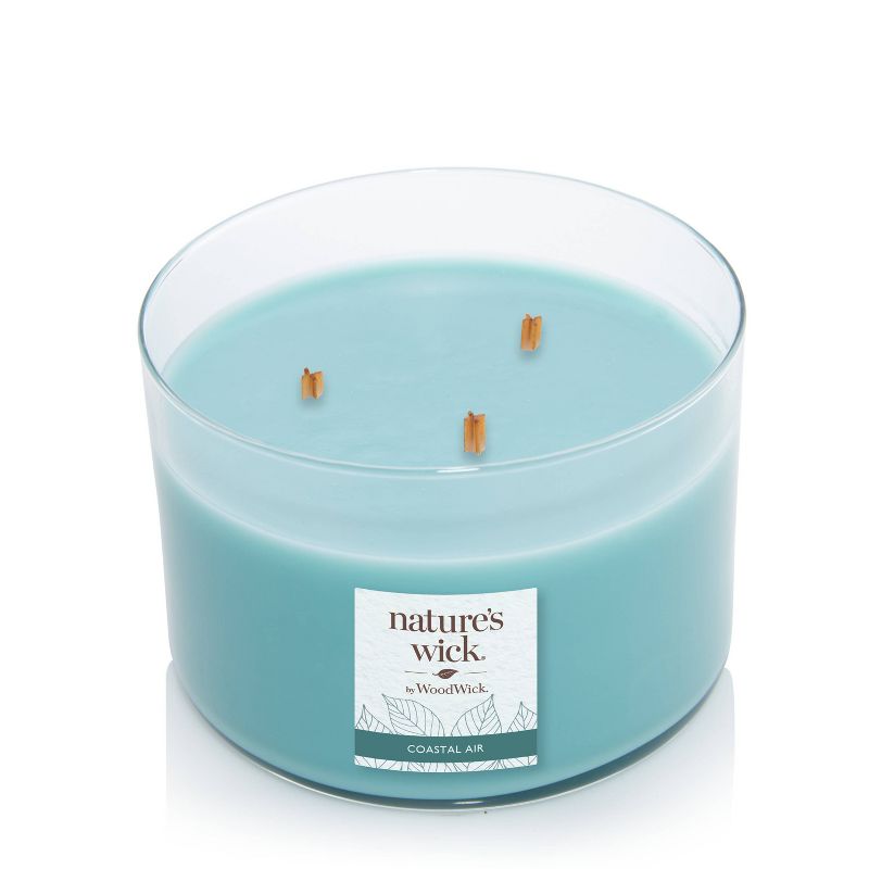 18oz Lidded Glass Jar Crackling Wooden 3-Wick Coastal Air Candle - Nature's Wick