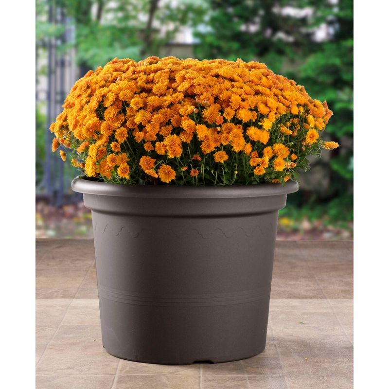 13.25&#34; x 17.5&#34; Indoor/Outdoor Resin Geo Planter Black - Alfresco Home LLC