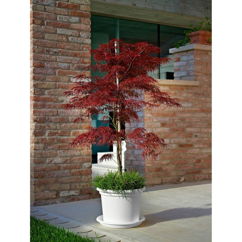 13.25&#34; x 17.5&#34; Indoor/Outdoor Resin Geo Planter White - Alfresco Home LLC