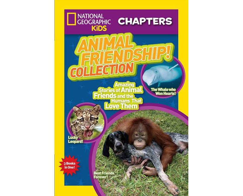 Animal Friendship! Collection : Amazing Stories of Animal Friends and the Humans Who Love Them - by National Geographic (Paperback)