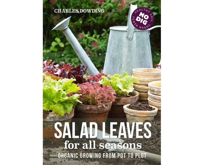 Salad Leaves for All Seasons - 2nd Edition by  Charles Dowding (Hardcover)
