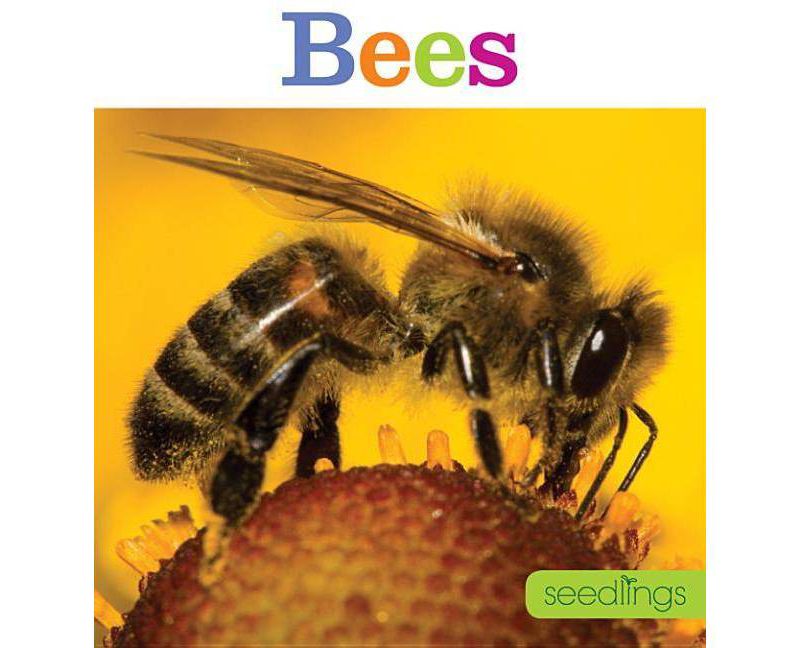 Seedlings: Bees - by  Aaron Frisch (Paperback)