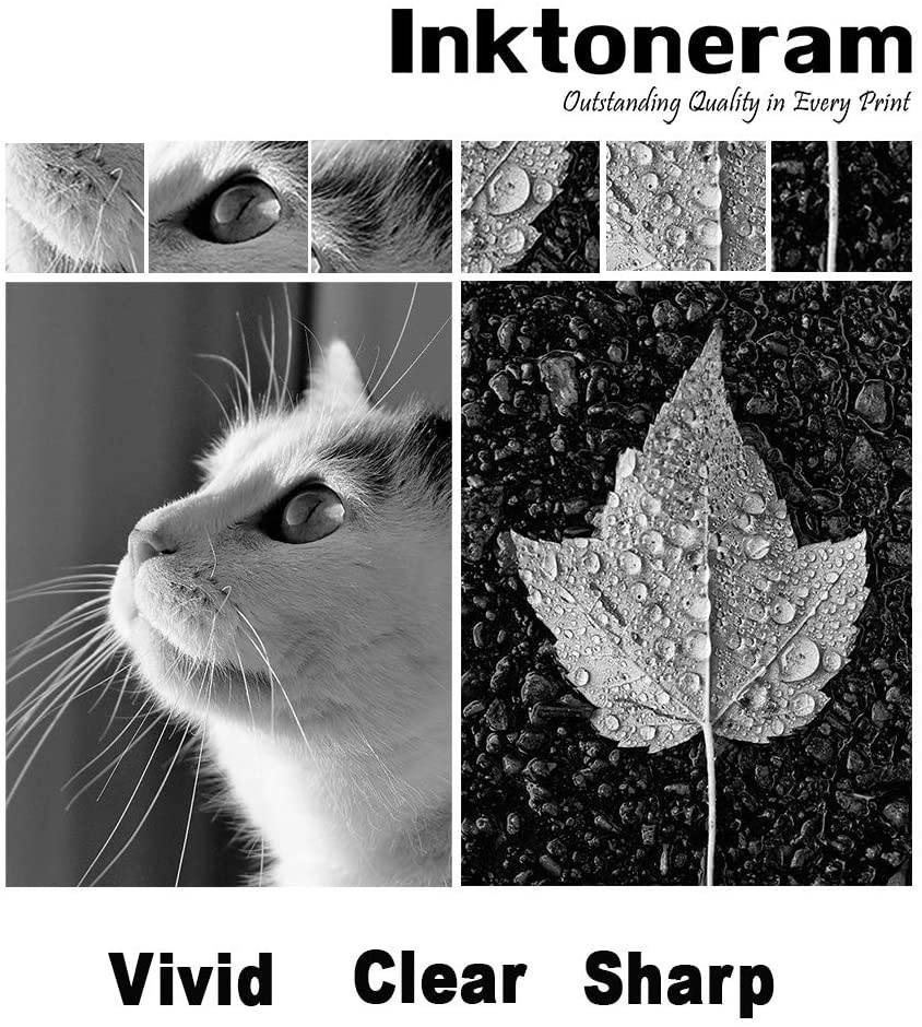 Inktoneram Compatible Toner Cartridge Replacement for Dell 1110 1100 310-6640 310-7660 (Black)