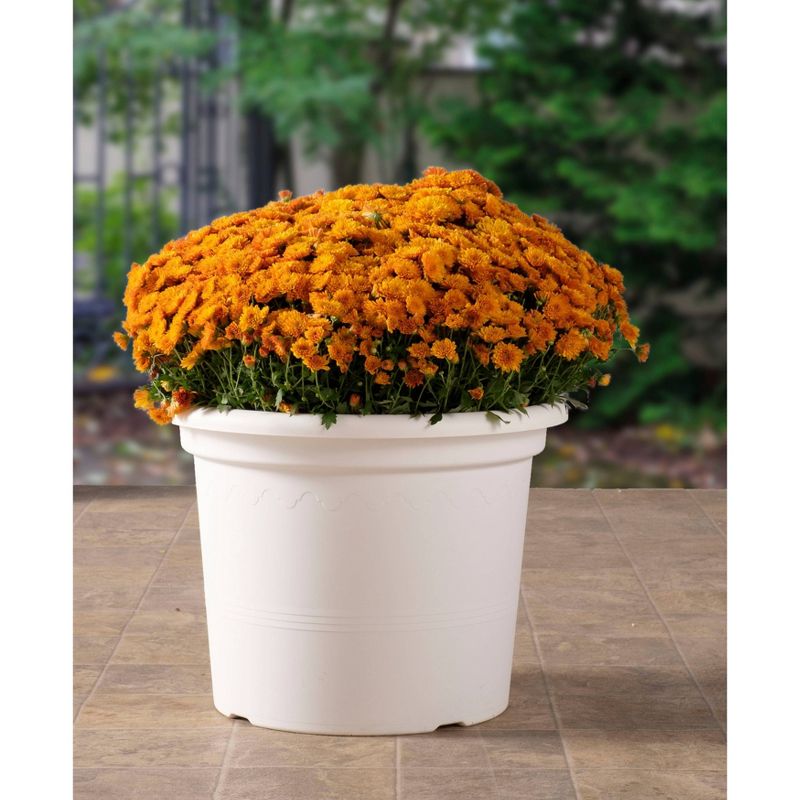 13.25&#34; x 17.5&#34; Indoor/Outdoor Resin Geo Planter White - Alfresco Home LLC