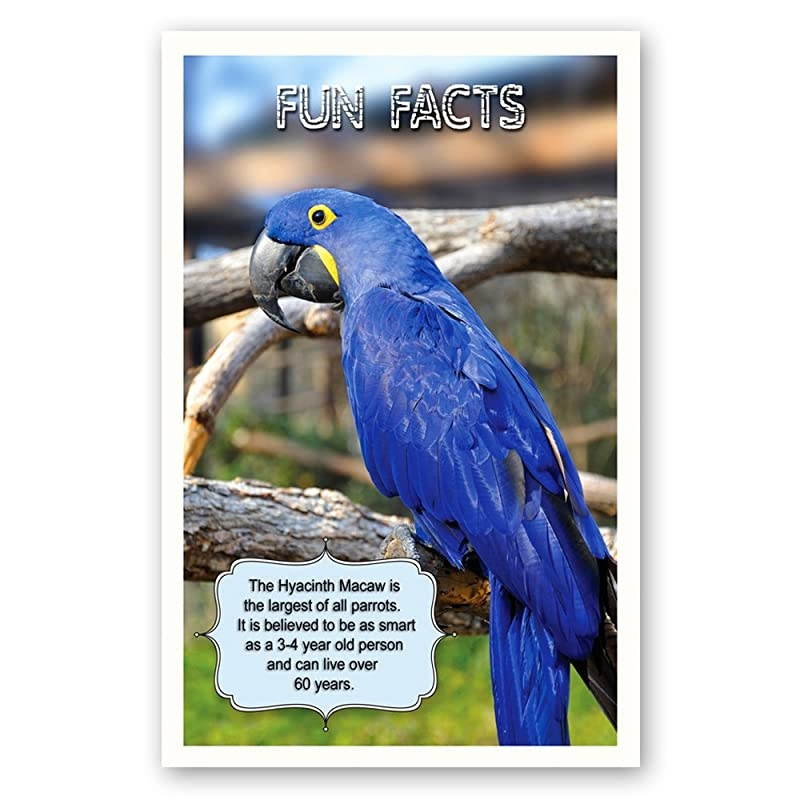 FACTS postcard set of 20 Post card variety pack with trivia and fact theme postcards Made in USA