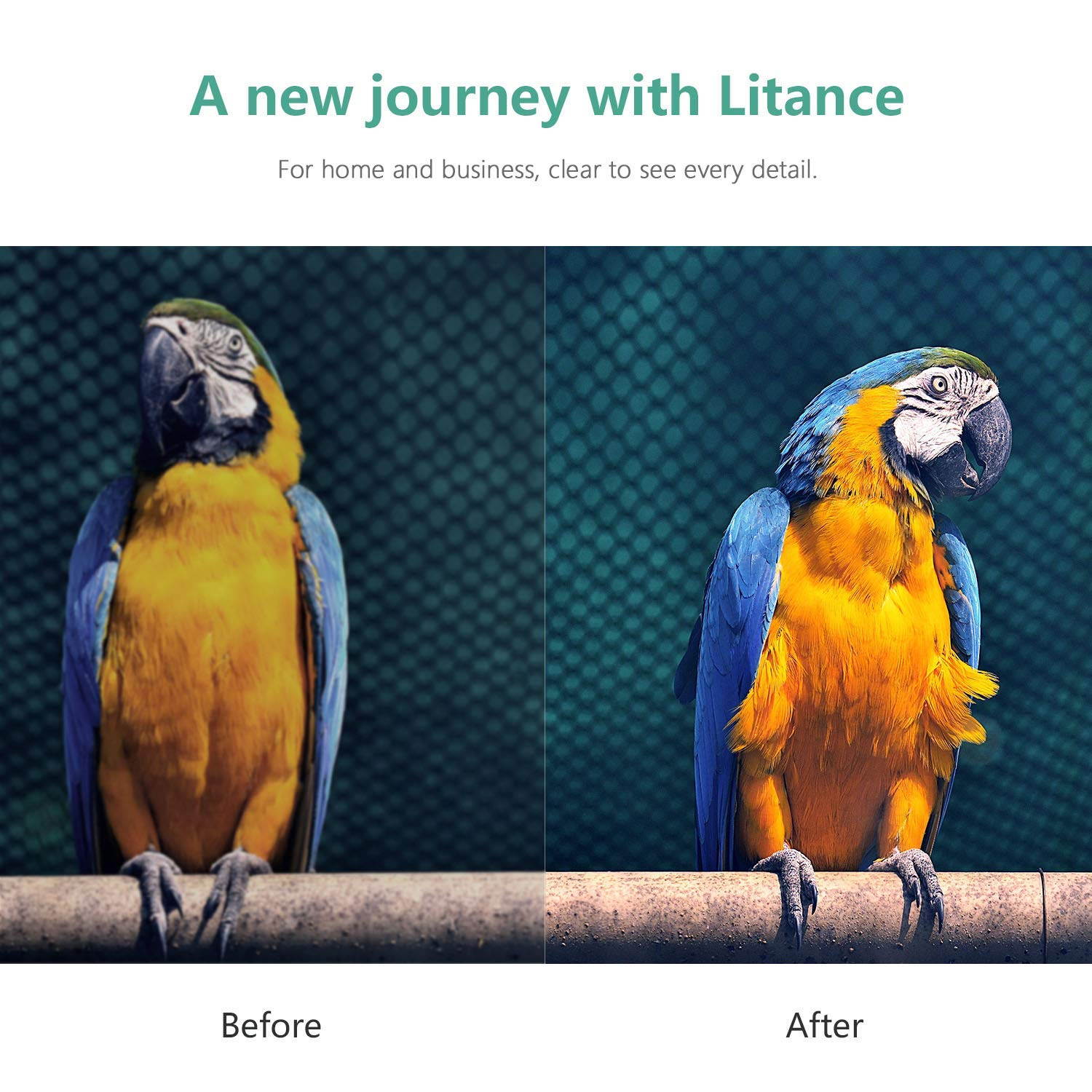 Replacement Lamp V13H010L67 for Epson ELPLP67, EX3210, EX5210, EX7210, VS210, VS220, VS310, VS315W, Home Cinema 500/ 710HD/ 750HD, PowerLite 1221/ 1261W/ S11/ X12/ X15 and More Projectors