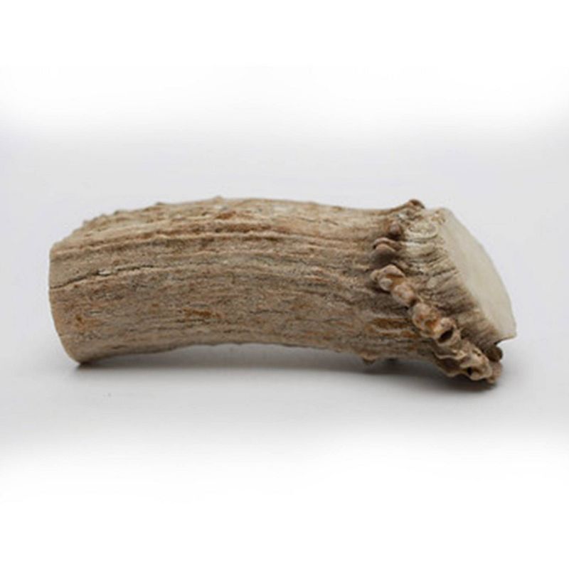 QT Dog Antlerz Natural Dog Chew Treat Dog Treats - 1ct