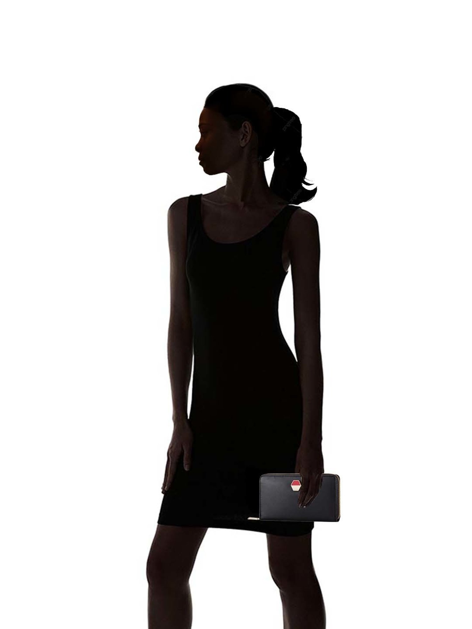 CARPISA Black Solid Zip Around Wallet for Women