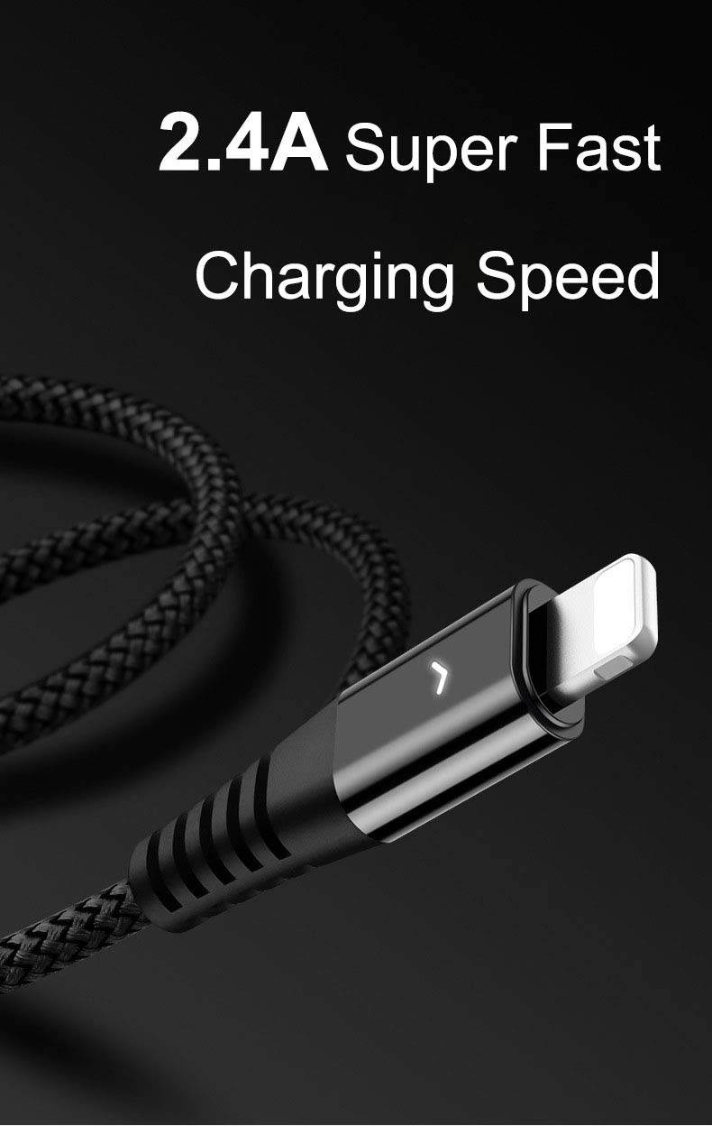 Lightning Cable with LED, iFlash 1 Foot Lightning Cable Fast Charging and Sync Charger for Apple iPhone Xs/XS Max/XR/X / 8/8 Plus / 7/7 Plus / 6S/6 Plus/SE/ 5S, iPad Pro Air Mini 2/3/4, iPod Touch 5/6