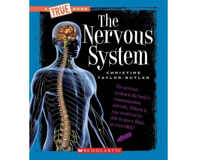 The Nervous System (a True Book: Health and the Human Body) - (A True Book: Health and the Human Body) by  Christine Taylor-Butler (Paperback)